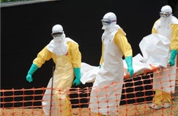 Nhật Bản chi 100 triệu USD chống dịch bệnh Ebola 